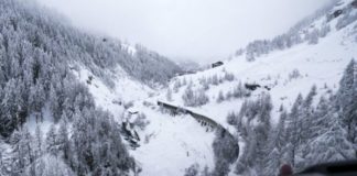 Ki Makedonija 25 sm- Jiv maj but ko Mavrovo, aso but baro biršim ki Bitola