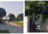 Javinako e alosaribe ko Šuto Orizari tavdena ani šukar čhane -DikhenVideo..
