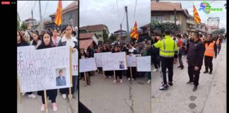 Roma Press- Поддршка на гласот на народот:во живо од протестот во Виница..