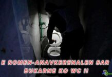 Министер им порача на Ромите „да ги чистат валканите тоалети“ – опозицијата бара негова оставка