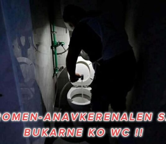 Министер им порача на Ромите „да ги чистат валканите тоалети“ – опозицијата бара негова оставка
