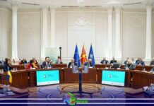 Ani Radji prezentiringape i SWOT analiza lingardi taro eksperto Eben Fridman