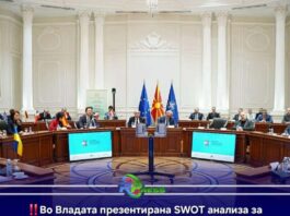 Ani Radji prezentiringape i SWOT analiza lingardi taro eksperto Eben Fridman