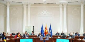 Ani Radji prezentiringape i SWOT analiza lingardi taro eksperto Eben Fridman