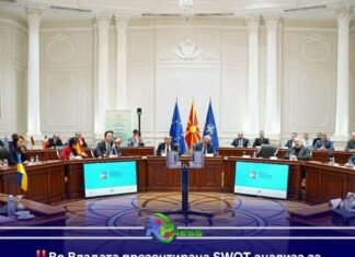 Ani Radji prezentiringape i SWOT analiza lingardi taro eksperto Eben Fridman